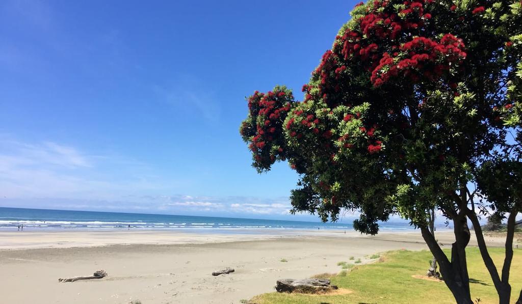 Whakatane Hotel Экстерьер фото